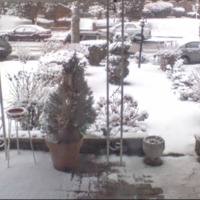 A Snowy February Day -  2009