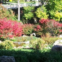 Autumn in Harmon Park  - 101313-150537
