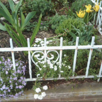 A Perennial Flower Bed Comes to Life - April 2011