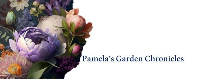 Pamela's Garden Chronicles